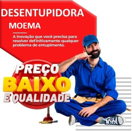 desentupidora moema