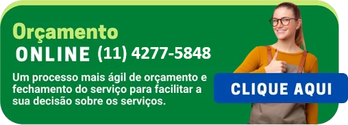 valor de orcamento online contato